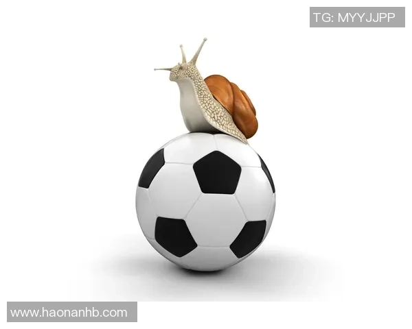 足球蜗牛的奇幻旅程：在绿茵场上追逐梦想与速度的故事